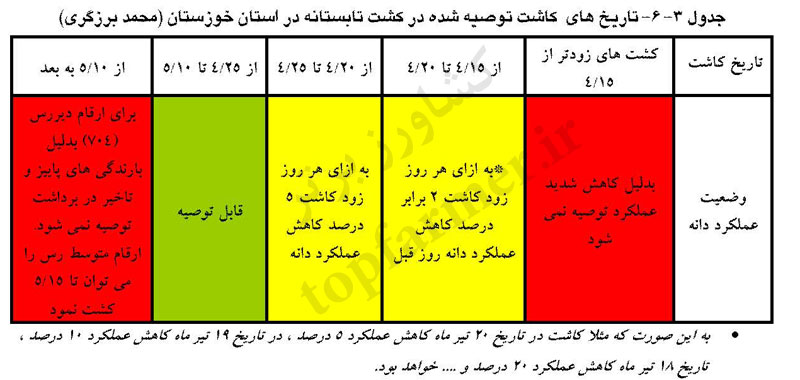 تاریخ و زمان کاشت ذرت در استان خوزستان